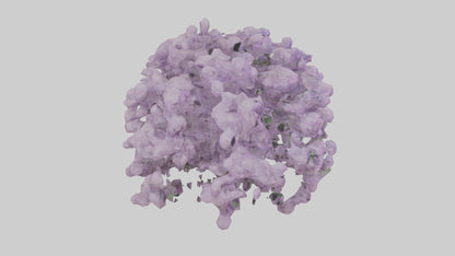 3D model Lilac and Tree model VR / AR / low-poly