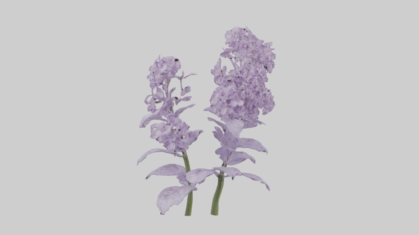 3D model Lilac and Tree model VR / AR / low-poly