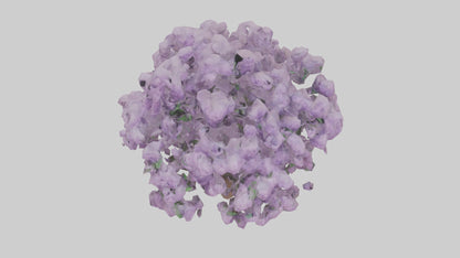 3D model Lilac and Tree model VR / AR / low-poly