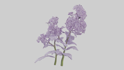 3D model Lilac and Tree model VR / AR / low-poly