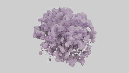 3D model Lilac and Tree model VR / AR / low-poly