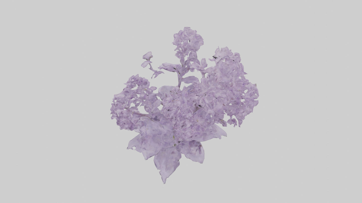 3D model Lilac and Tree model VR / AR / low-poly