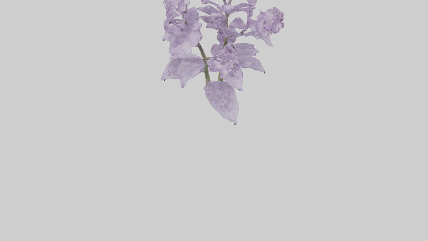 3D model Lilac and Tree model VR / AR / low-poly