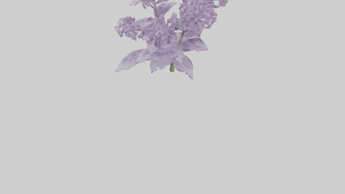 3D model Lilac and Tree model VR / AR / low-poly