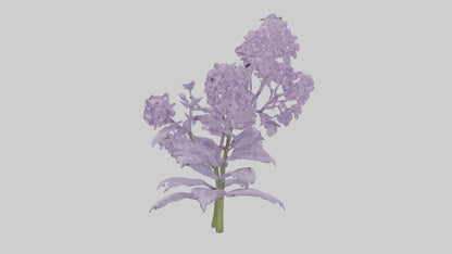 3D model Lilac and Tree model VR / AR / low-poly