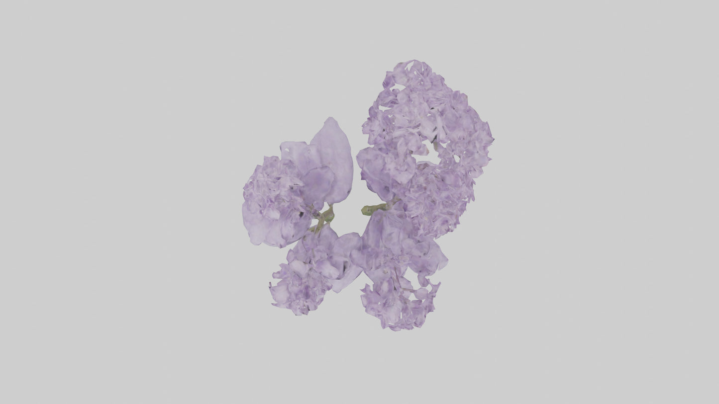 3D model Lilac and Tree model VR / AR / low-poly