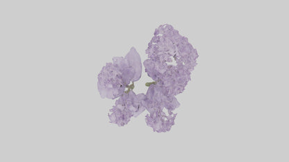 3D model Lilac and Tree model VR / AR / low-poly