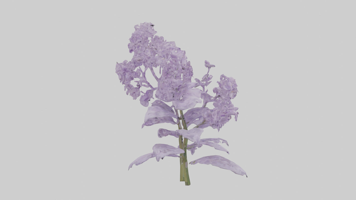 3D model Lilac and Tree model VR / AR / low-poly