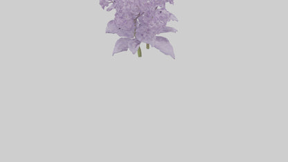 3D model Lilac and Tree model VR / AR / low-poly