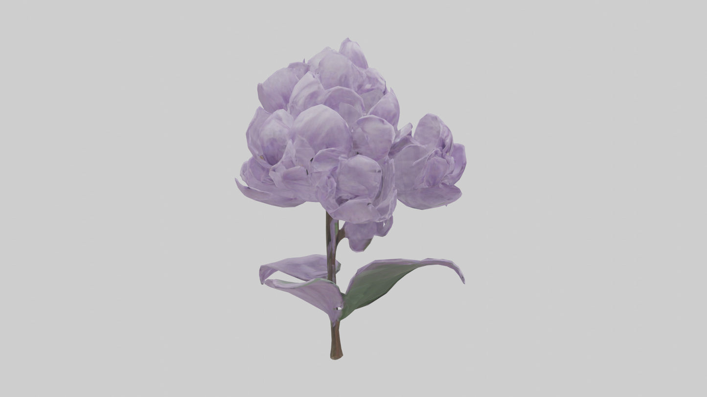 3D model Lilac flower model VR / AR / low-poly
