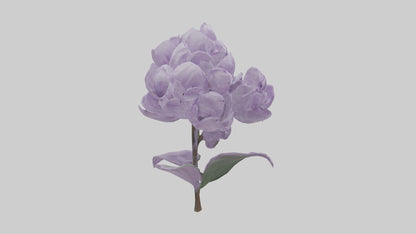 3D model Lilac flower model VR / AR / low-poly