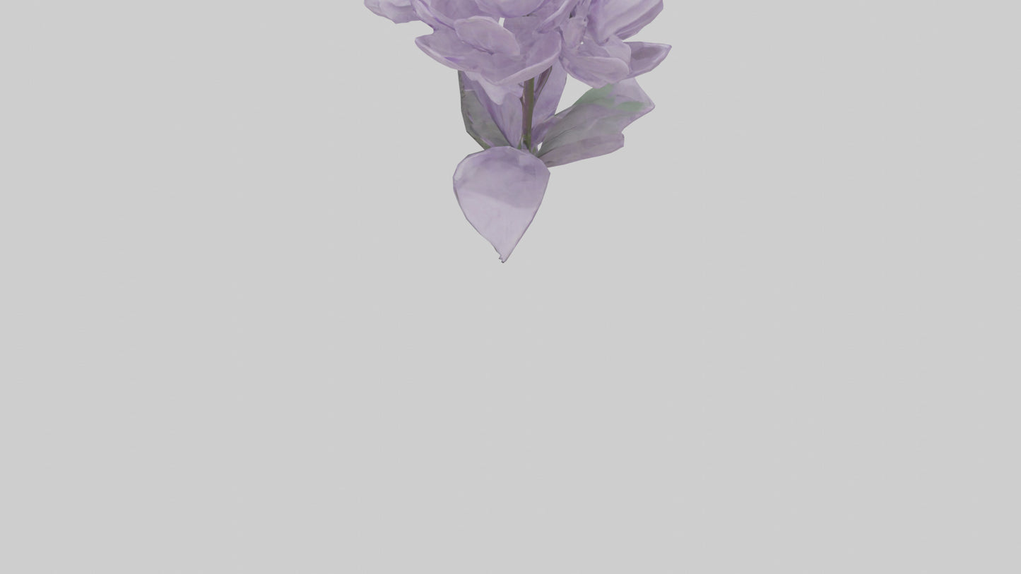 3D model Lilac flower model VR / AR / low-poly