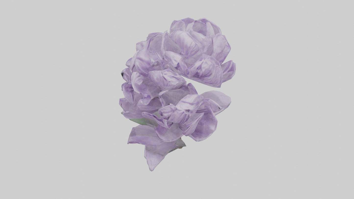 3D model Lilac flower model VR / AR / low-poly
