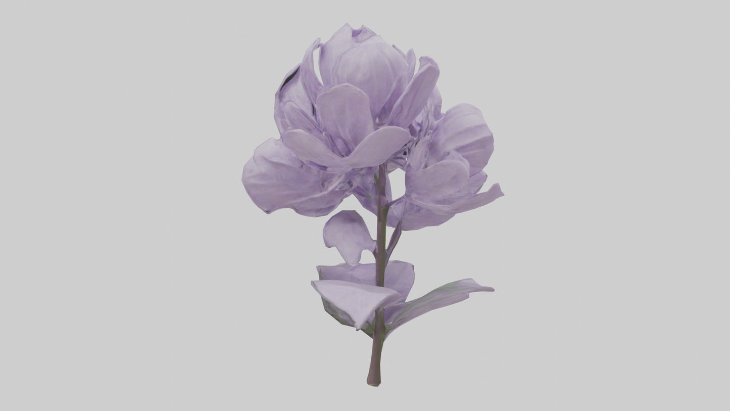 3D model Lilac flower model VR / AR / low-poly