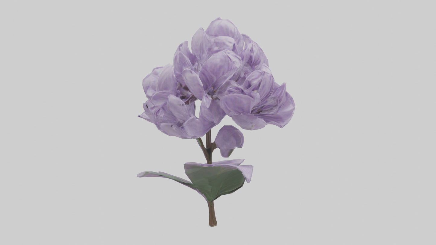 3D model Lilac flower model VR / AR / low-poly