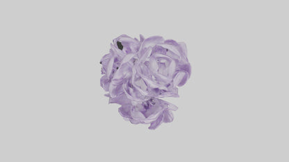 3D model Lilac flower model VR / AR / low-poly