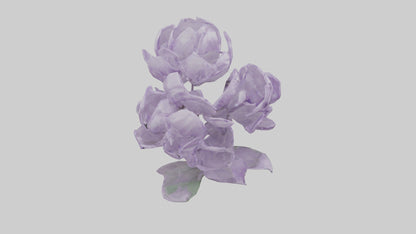 3D model Lilac flower model VR / AR / low-poly