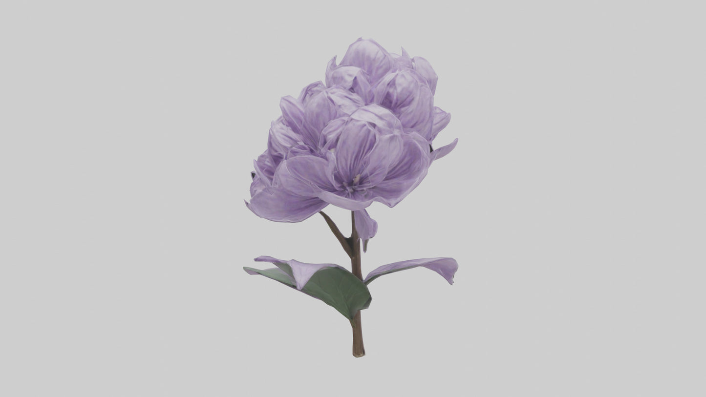 3D model Lilac flower model VR / AR / low-poly