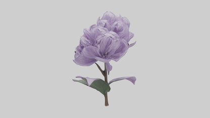 3D model Lilac flower model VR / AR / low-poly