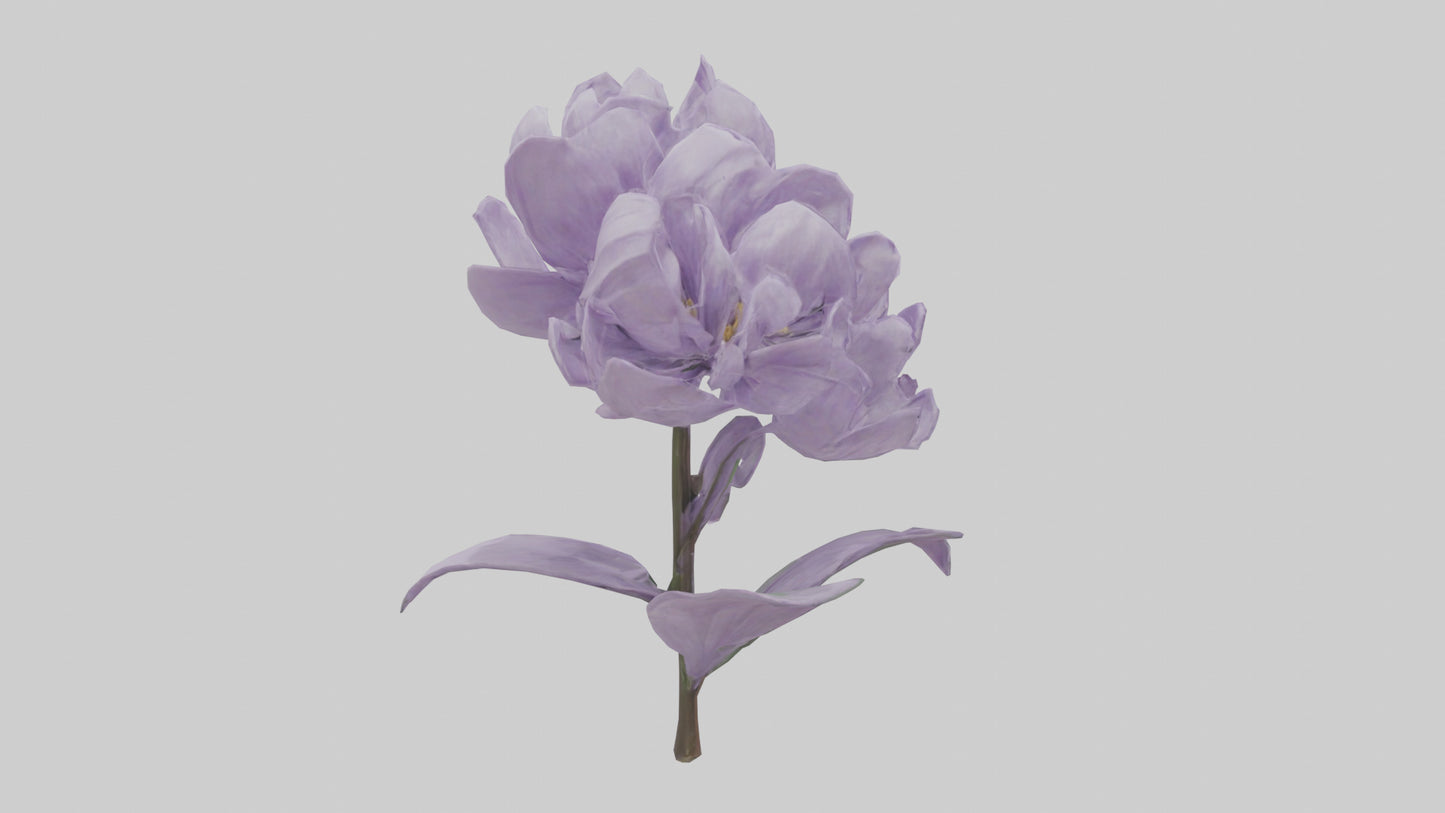 3D model Lilac flower model VR / AR / low-poly