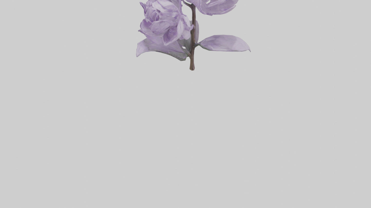 3D model Lilac flower model VR / AR / low-poly
