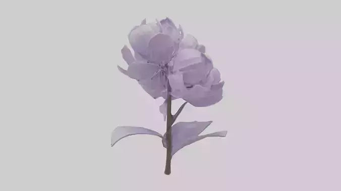 3D model Lilac flower model VR / AR / low-poly