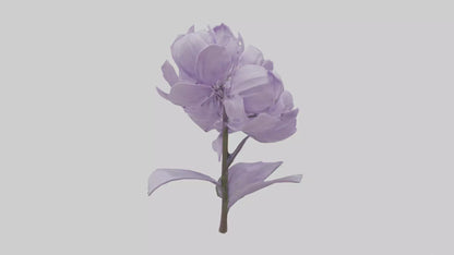 3D model Lilac flower model VR / AR / low-poly