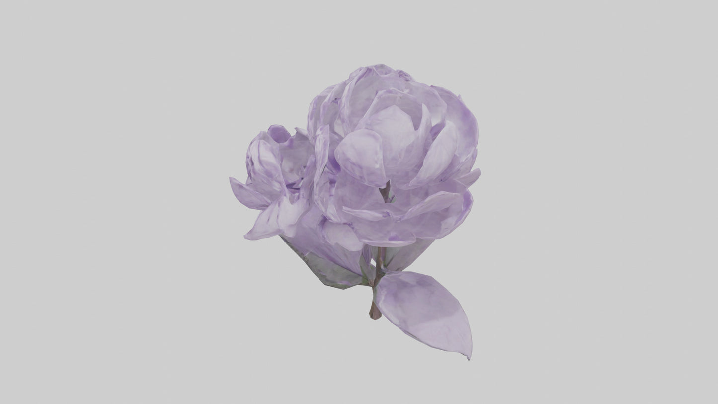 3D model Lilac flower model VR / AR / low-poly