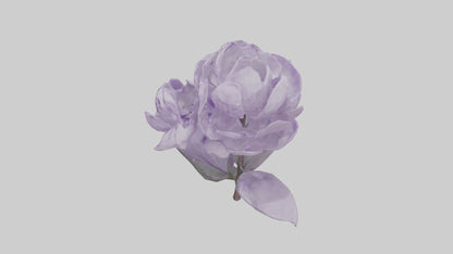 3D model Lilac flower model VR / AR / low-poly