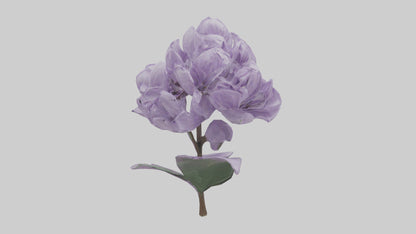 3D model Lilac flower model VR / AR / low-poly