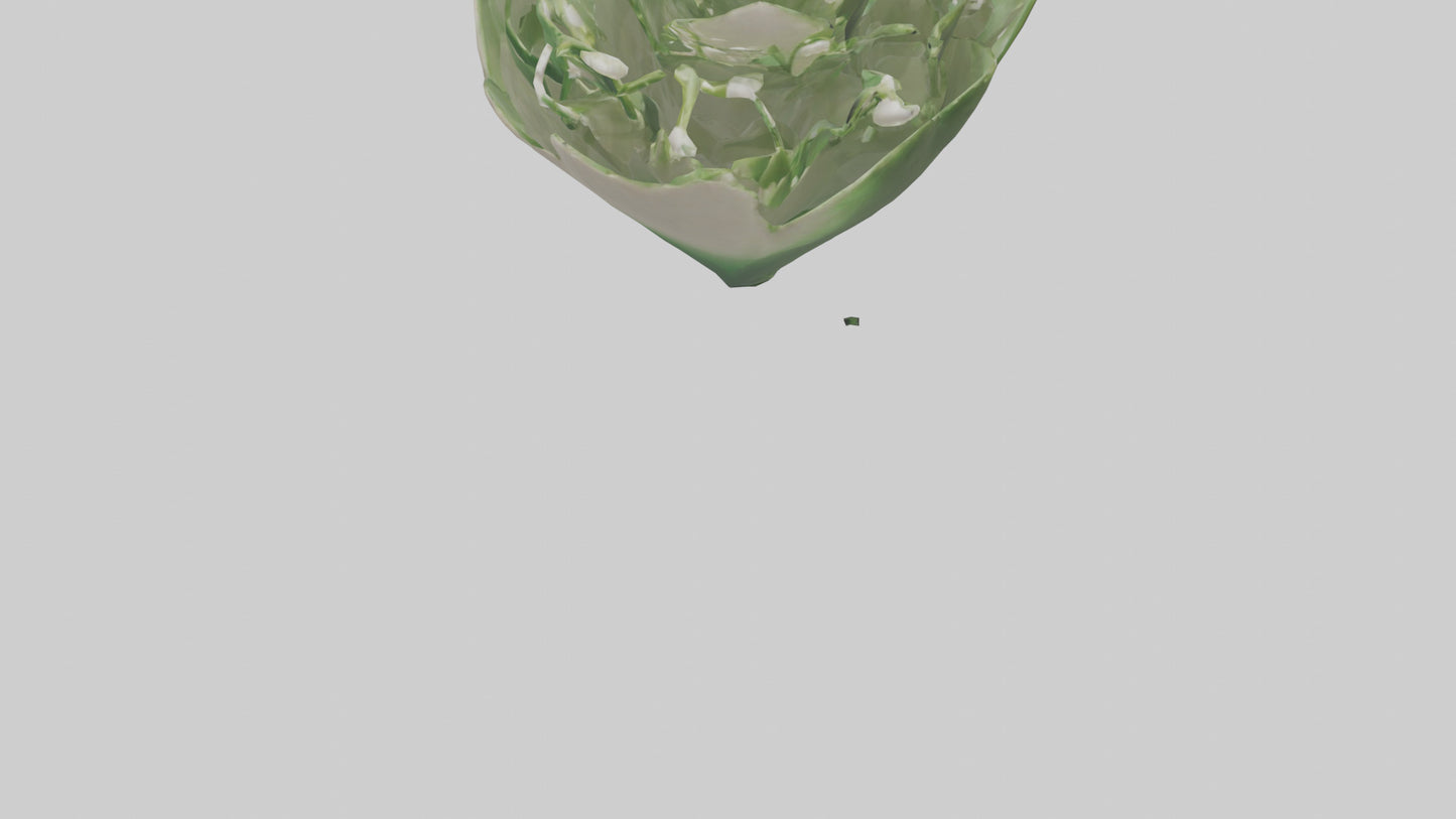 3D model Lily of the Valley model VR / AR / low-poly