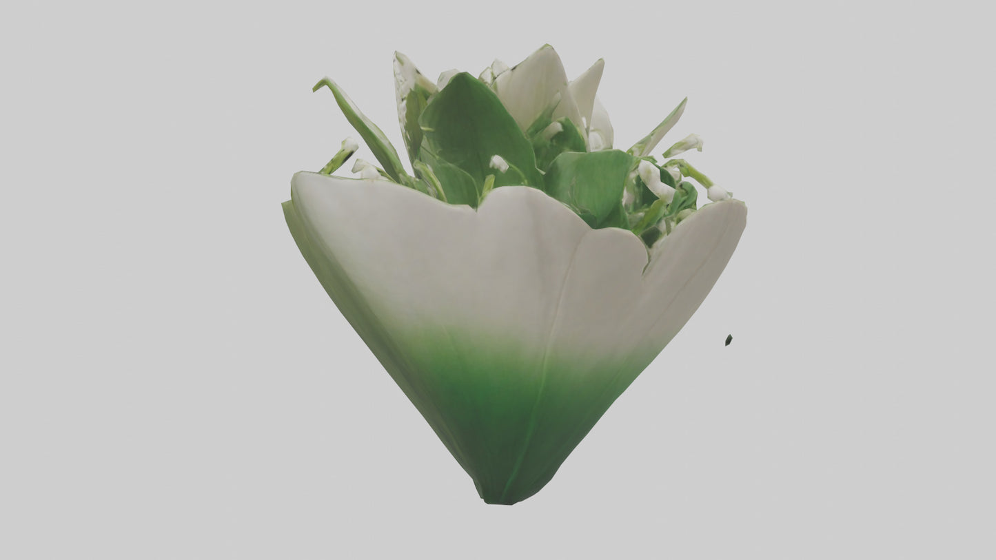 3D model Lily of the Valley model VR / AR / low-poly