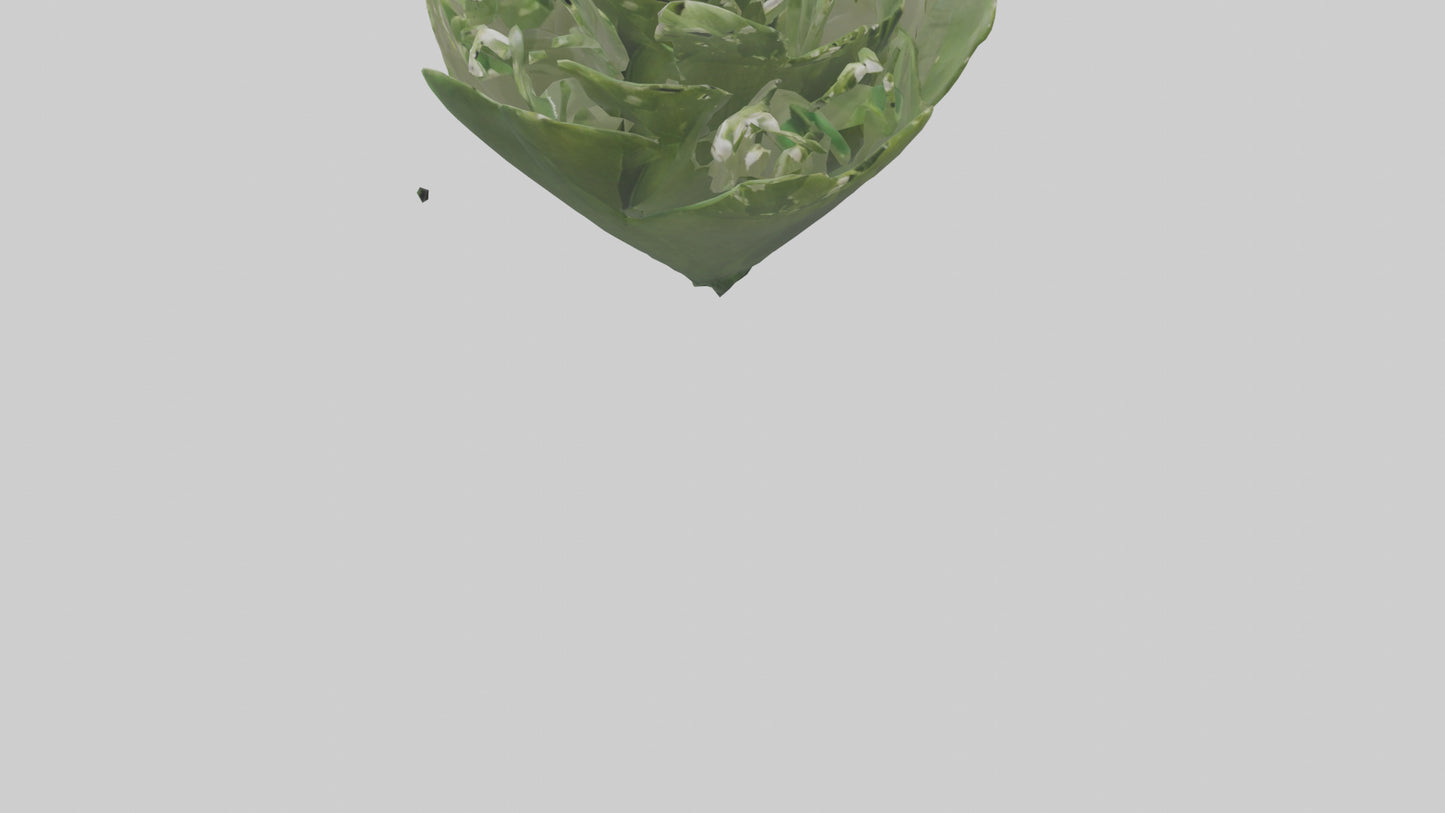 3D model Lily of the Valley model VR / AR / low-poly