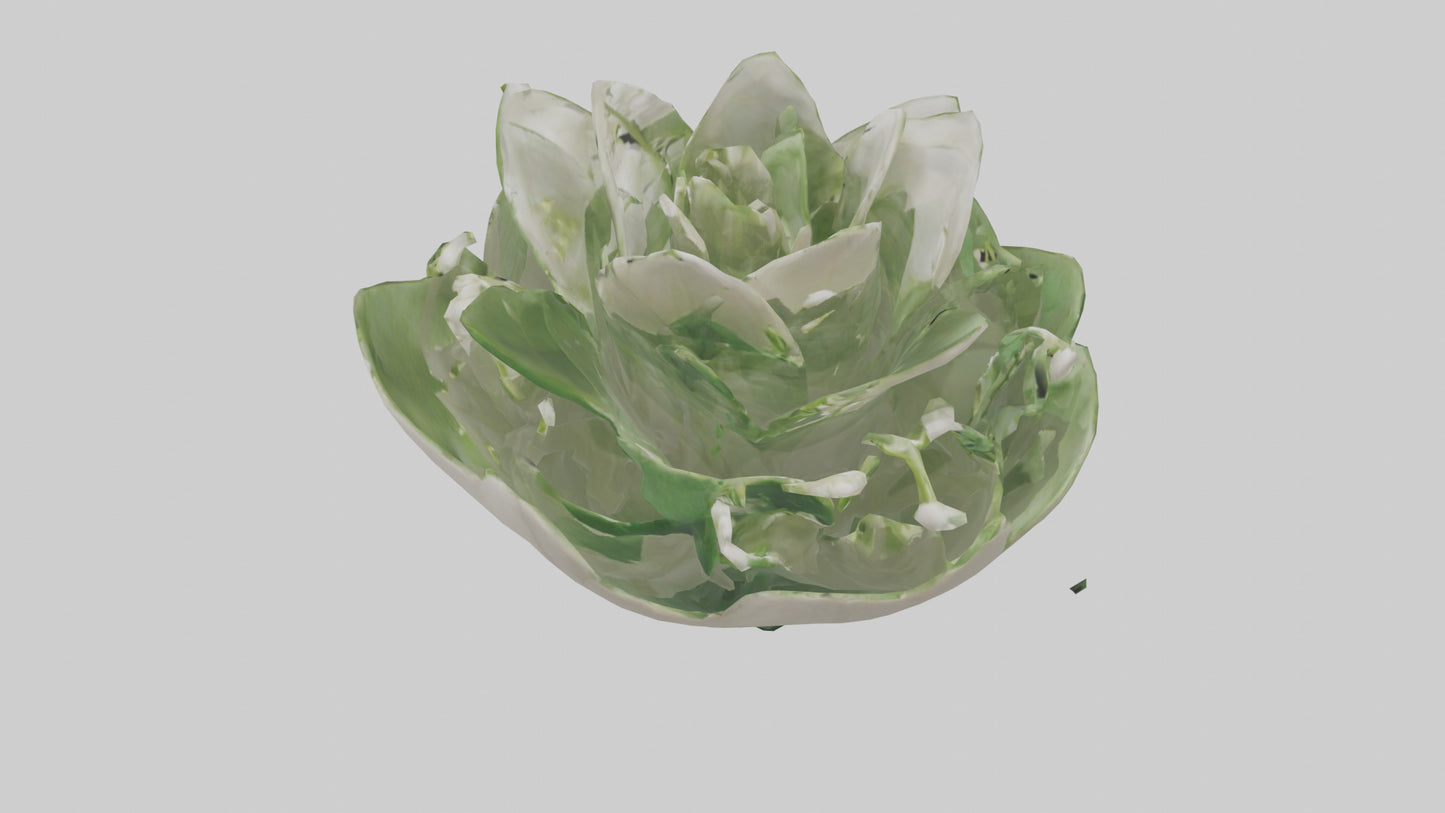 3D model Lily of the Valley model VR / AR / low-poly