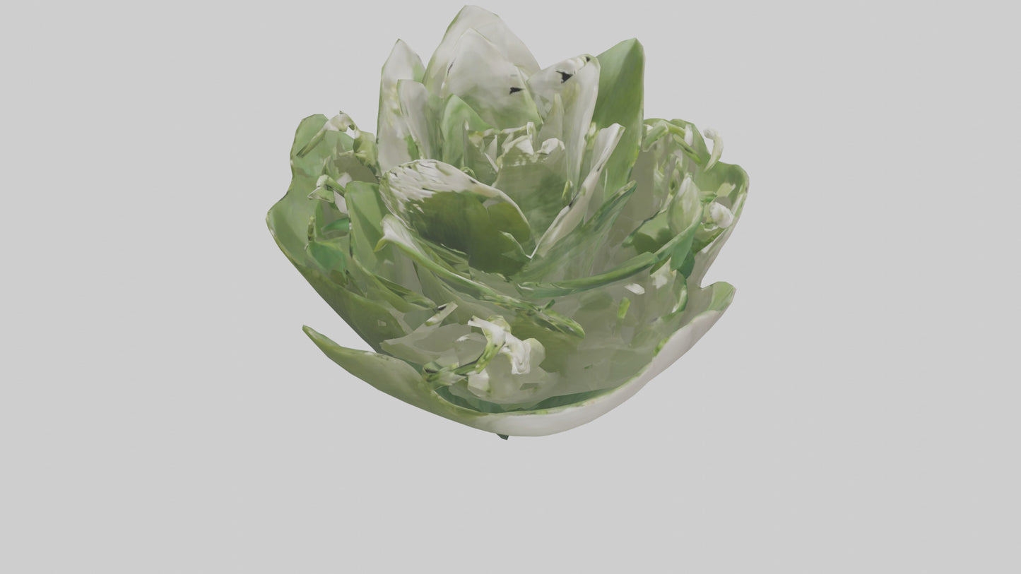 3D model Lily of the Valley model VR / AR / low-poly