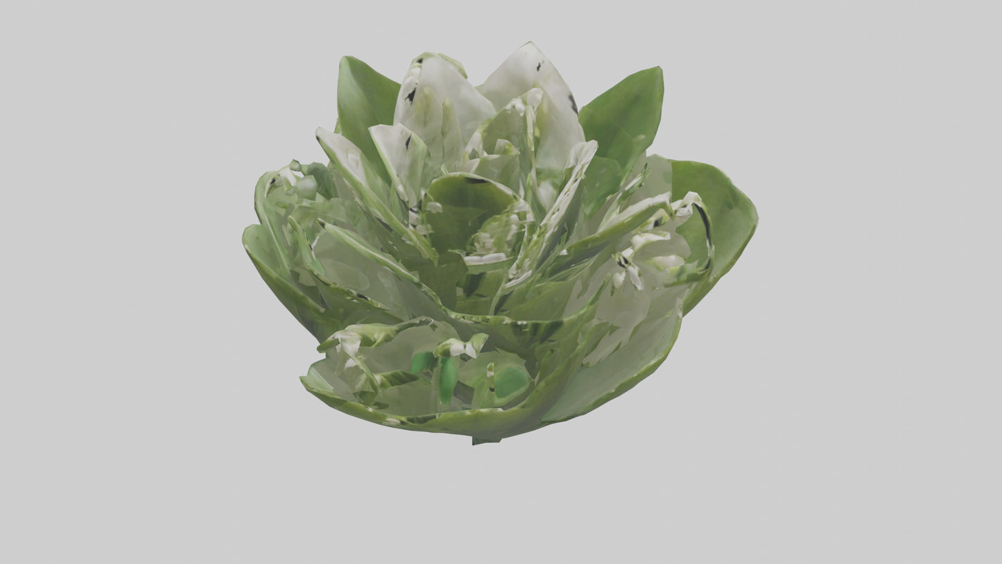 3D model Lily of the Valley model VR / AR / low-poly