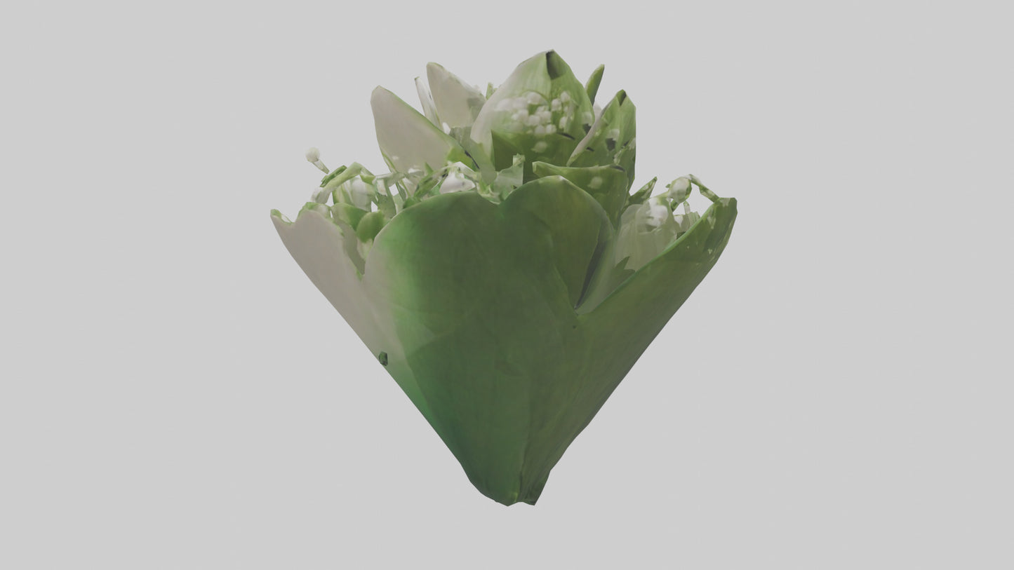 3D model Lily of the Valley model VR / AR / low-poly