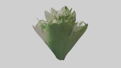 3D model Lily of the Valley model VR / AR / low-poly