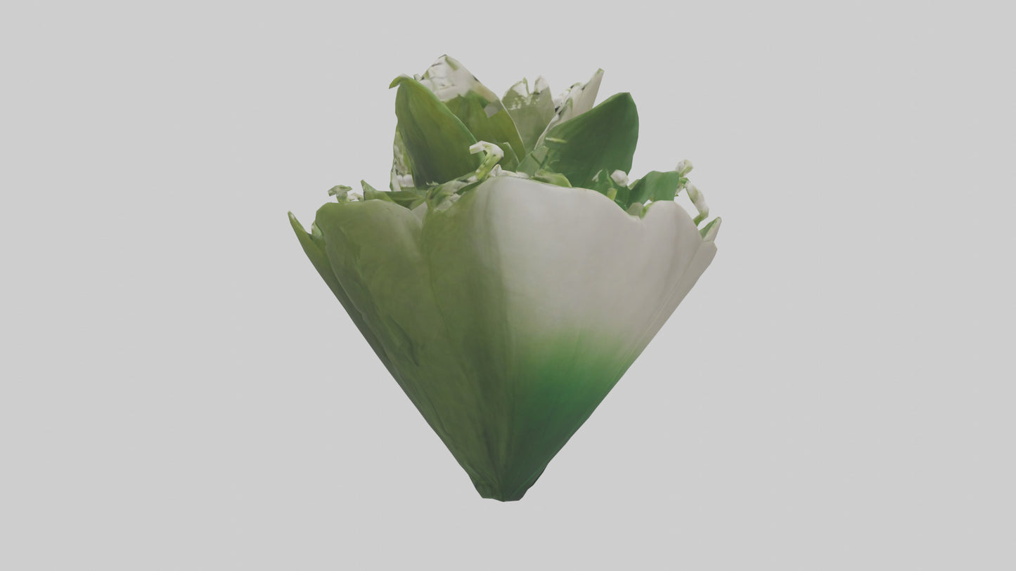 3D model Lily of the Valley model VR / AR / low-poly