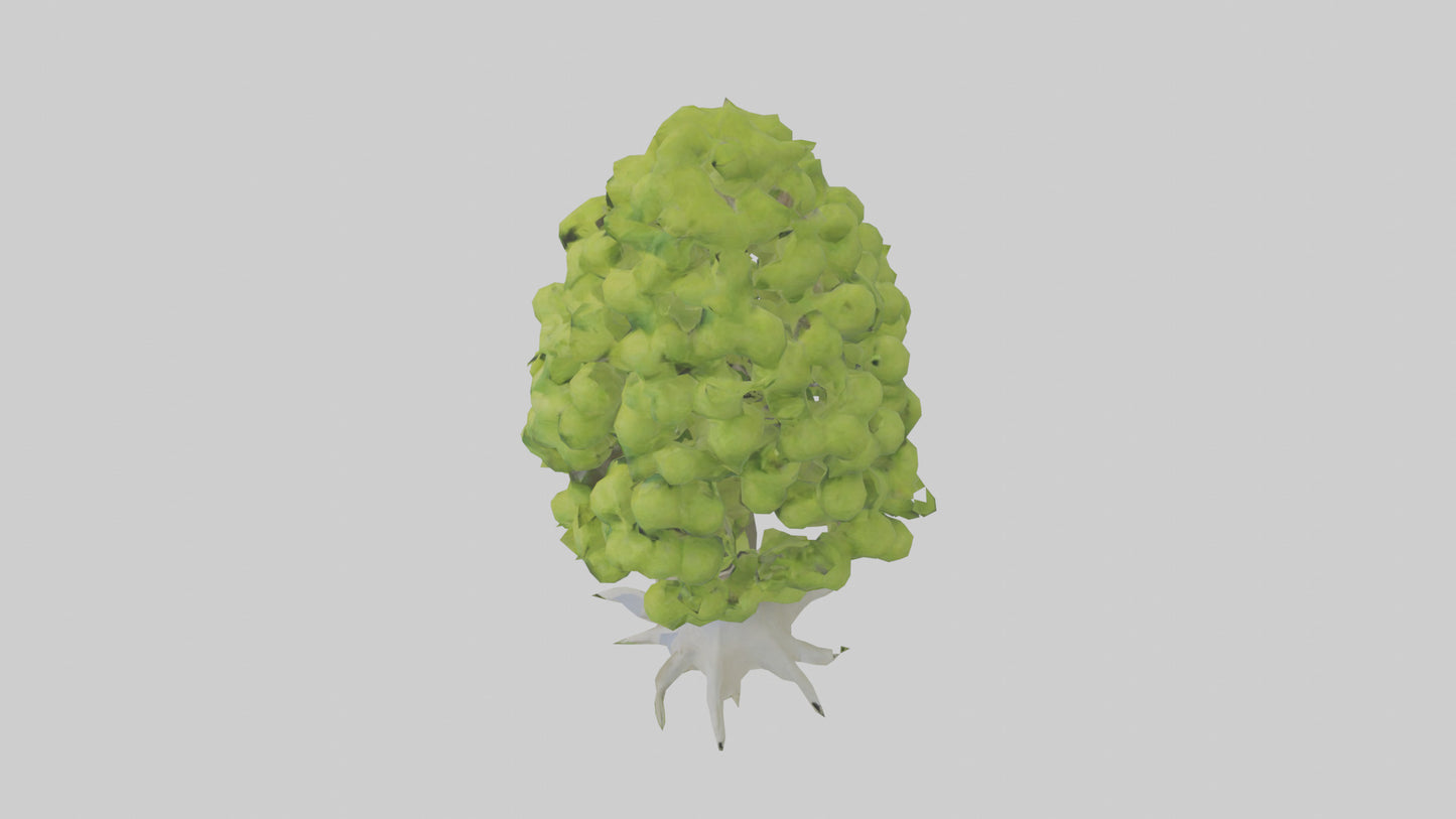 Lime tree model VR / AR / low-poly
