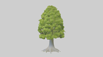 Lime tree model VR / AR / low-poly