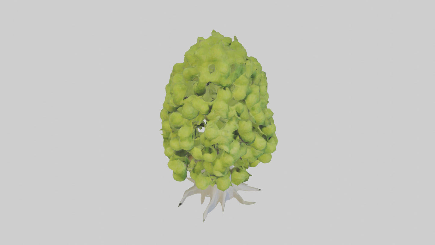 Lime tree model VR / AR / low-poly