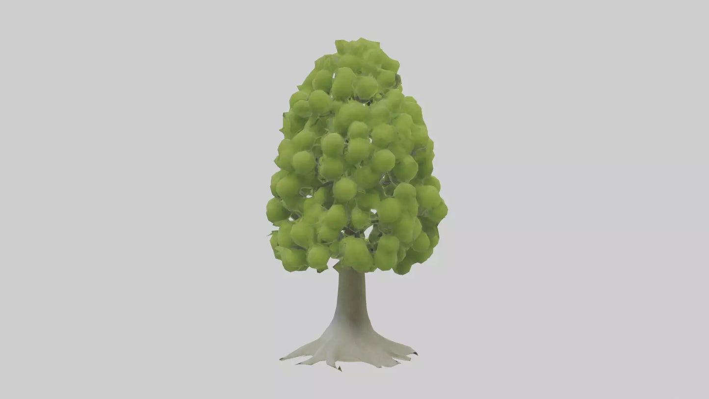 Lime tree model VR / AR / low-poly