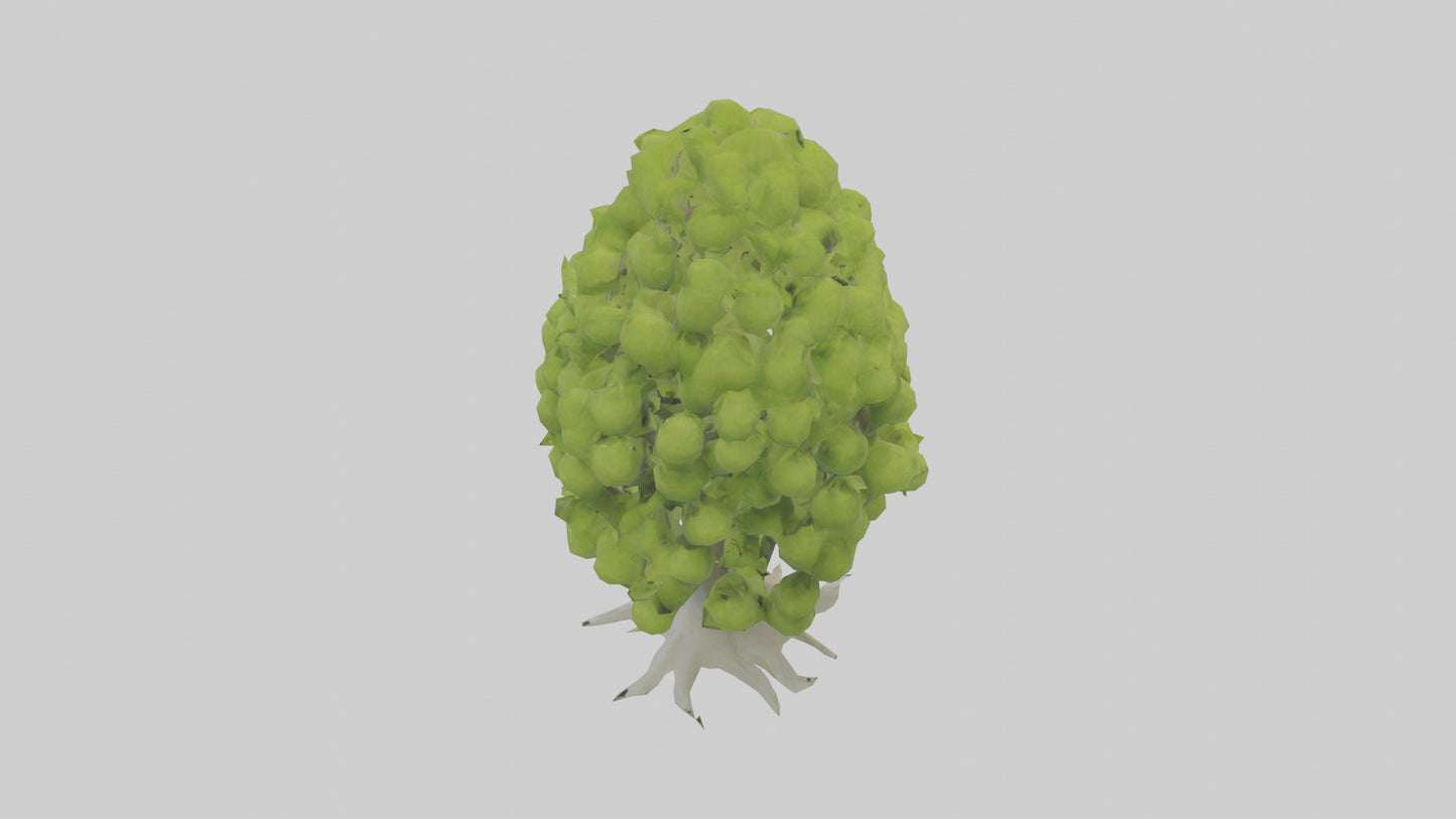 Lime tree model VR / AR / low-poly