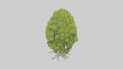 Lime tree model VR / AR / low-poly