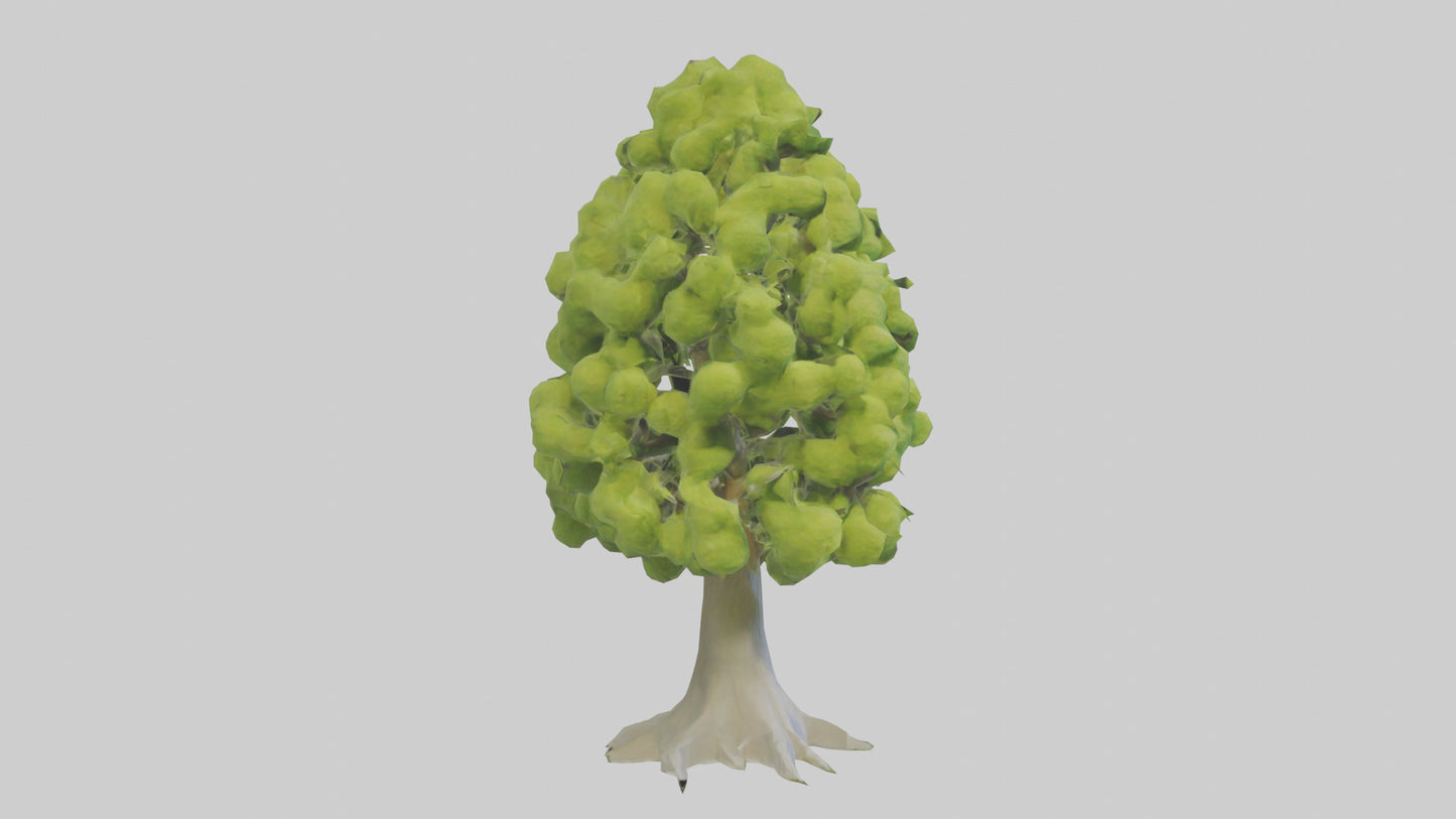 Lime tree model VR / AR / low-poly