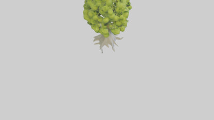 Lime tree model VR / AR / low-poly