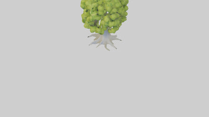 Lime tree model VR / AR / low-poly