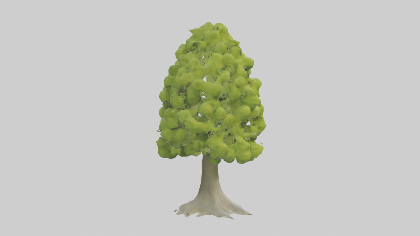 Lime tree model VR / AR / low-poly