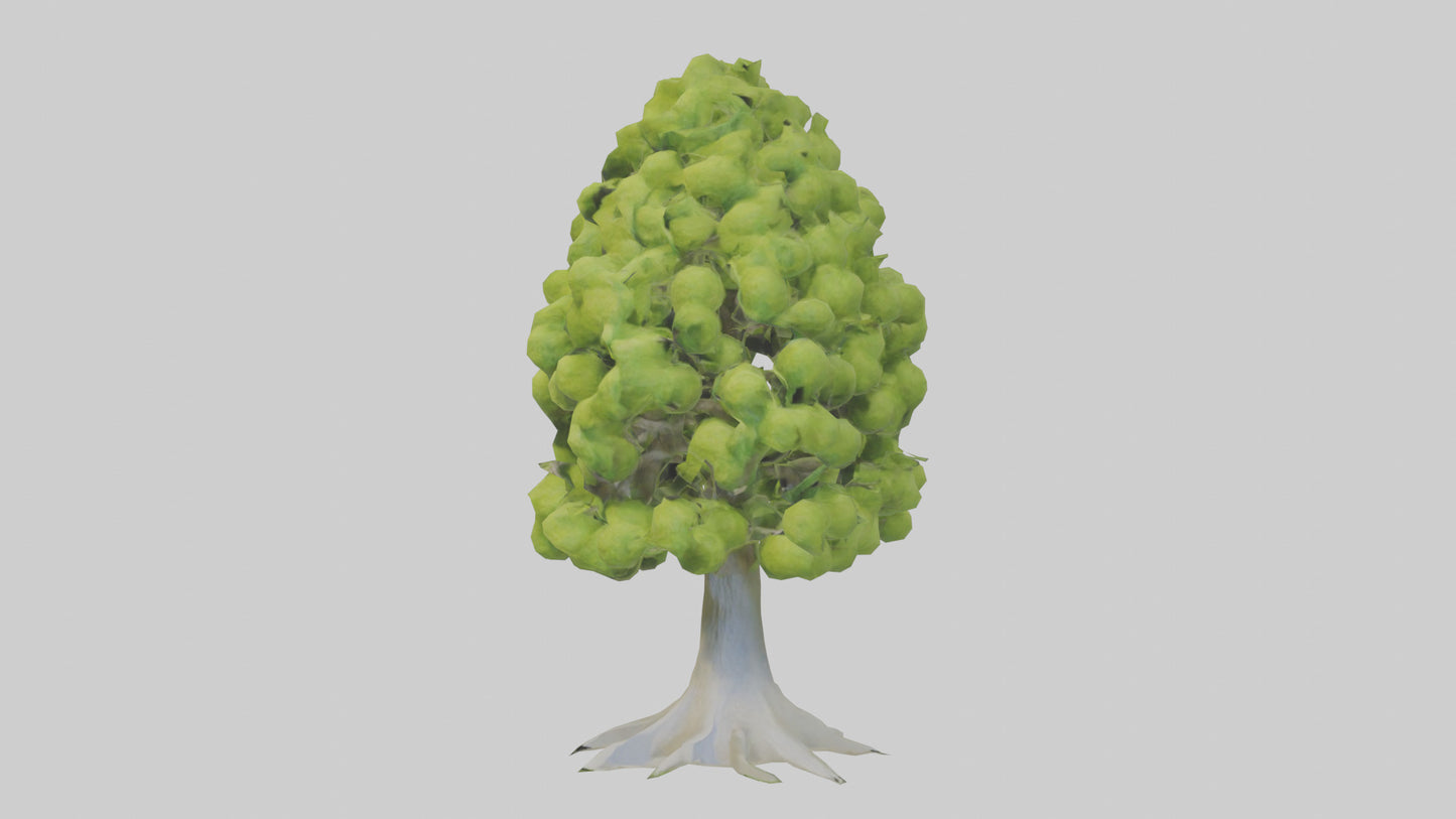 Lime tree model VR / AR / low-poly